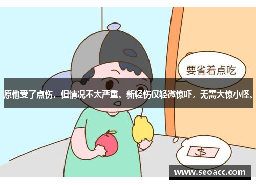 原他受了点伤，但情况不太严重。新轻伤仅轻微惊吓，无需大惊小怪。